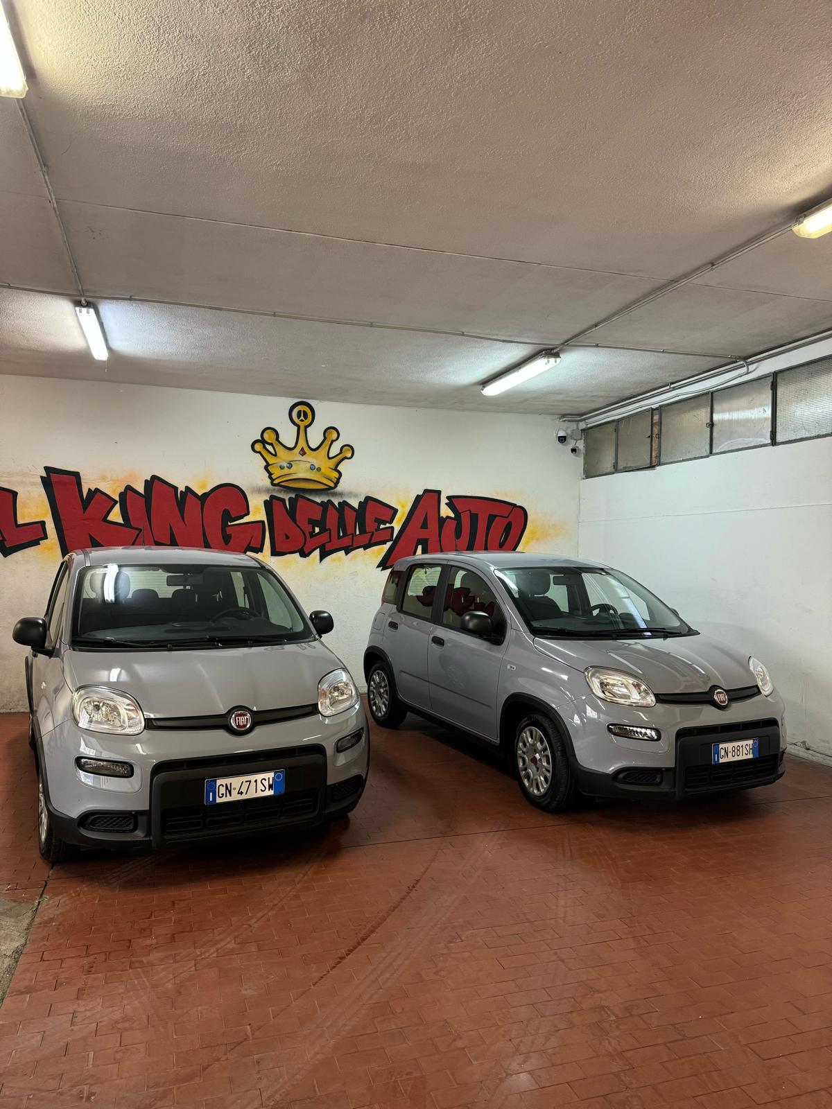 FIAT PANDA
