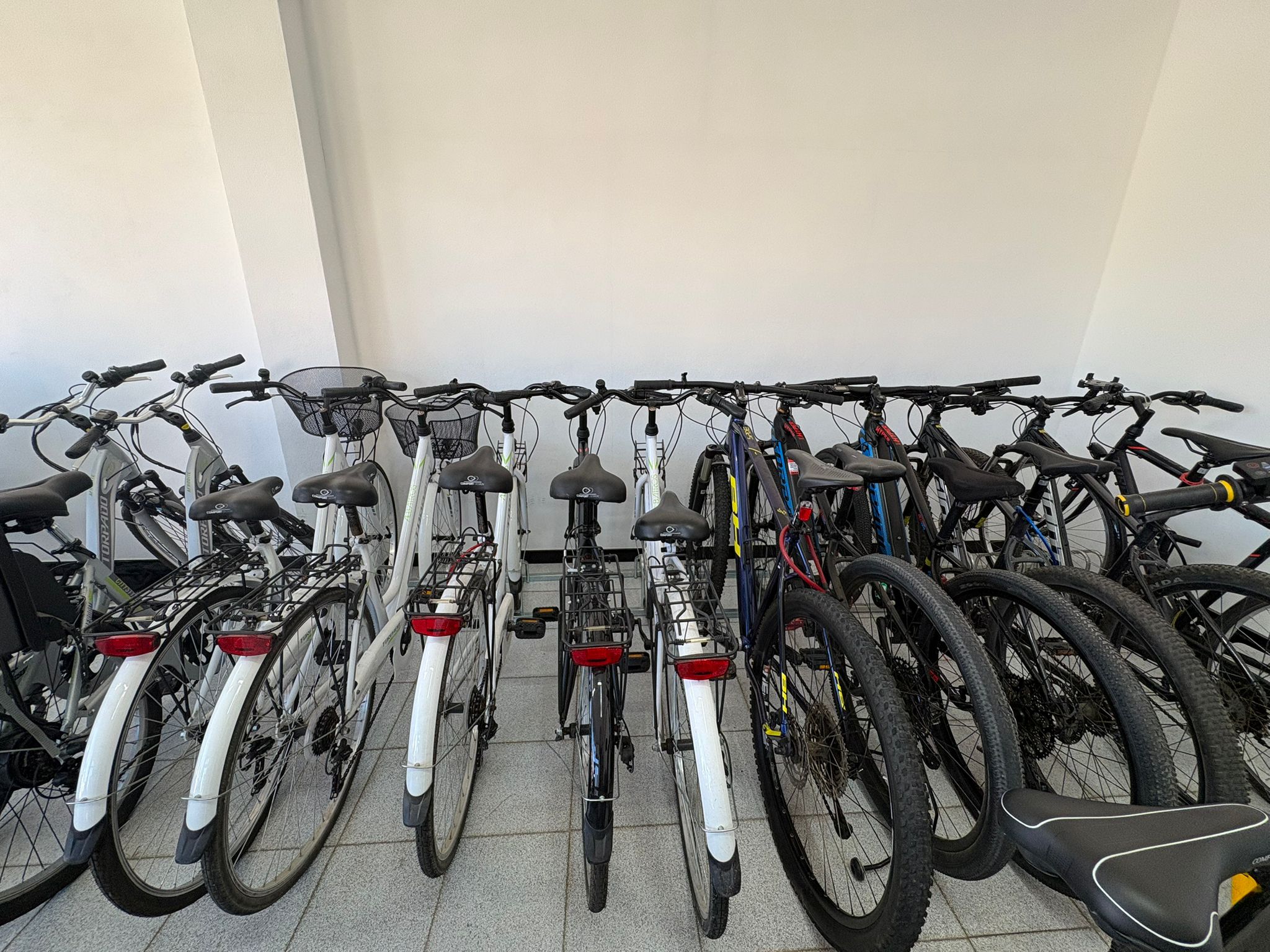 City bike ,Mountain bike